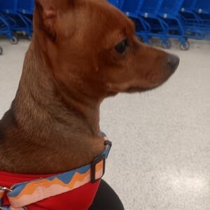 Meet your Posher, Estefania